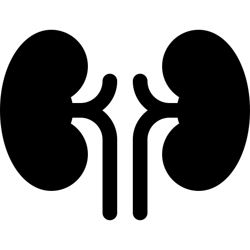 Sakit Ginjal